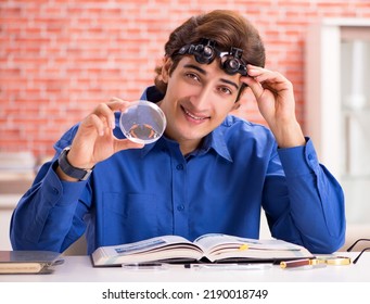 The Student Entomologist Studying New Species Of Butterflies