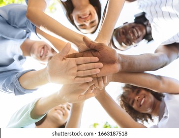Student Friendship. Portrait of happy university friends stacking hands together, showing unity and togetherness, low angle view, selective focus - Shutterstock ID 1663187518