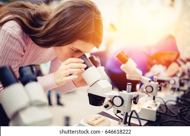 The Student Girl Looks Through A Microscope In An Equipped Classroom With A Series Of Microscopes. The Concept Is To Study The Science Of Biology, Organisms, Bacteria, Viruses.