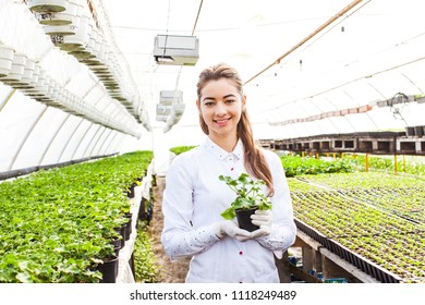 The Student In The Greenhouse Explores Plants