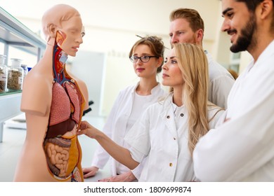 Student of medicine examining anatomical model in lab - Powered by Shutterstock