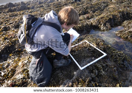 Student on a field trip. Using Quadrate on a rocky shore looking at seaweed coverage.