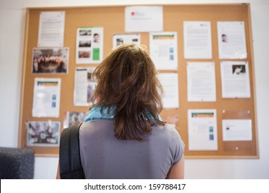 Student studying notice board in school