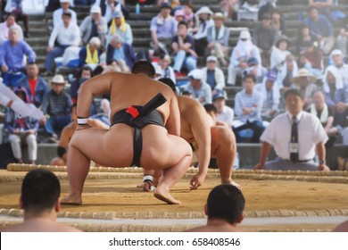 Student Sumo Wrestler