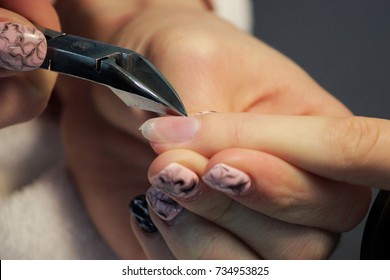 Student at training courses prepare handle nails with the help of nippers cuticles before applying shellac - Shutterstock ID 734953825