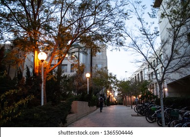 A Student Walking In Ben Gurion University At Night, Markus Campus