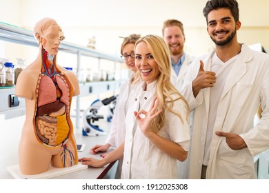 Students Of Medicine Examining Anatomical Model In Classroom