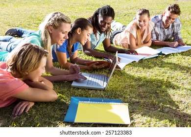 Students Studying Outside On Campus On A Sunny Day