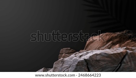 Studio Background,Empty Display Room with Brown Rock Rock Stone Podium Display Stage Stand  with Light,Palm leaf Shadow on Black Wall.Backdrop Rock Sea pedestal for Cosmetic,Product Present branding