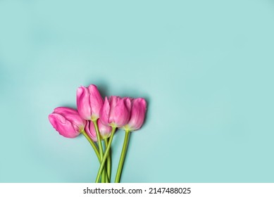 Studio close up photo of bouquet of five pink tulip flowers on aquamarine background. Postcard, cover, wallpaper, banner, free space