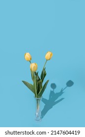 Studio Flower Flatlay Photography Of A Bouquet Of Colorful Spring Tulips In A Glass Vase And A Blue Background. 