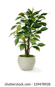 Studio Image Of A Miniature Artificial Tree In A Pot. Concept Image For Interior Design Or Office Furniture Use Against A White Background. Copy Space.