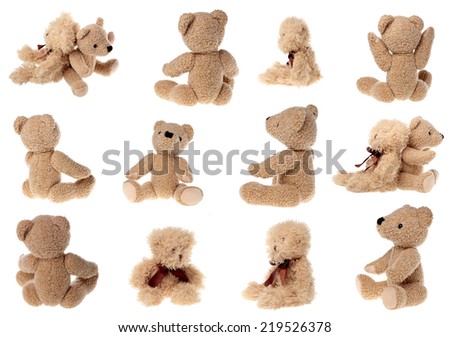 studio image of teddy bear set