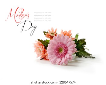 Studio Macro Of Mother's Day Flowers With Soft Shadows Against A White Background. Copy Space.