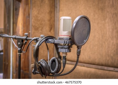 studio microphone