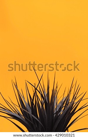 Similar – Image, Stock Photo natural phalanx Cactus