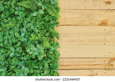 A studio photo of a hanging garden - Shutterstock ID 2231444437