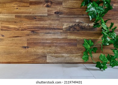 A Studio Photo Of Kitchen Bench Top