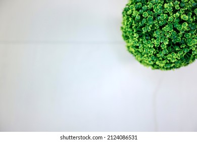 A Studio Photo Of Kitchen Bench Top