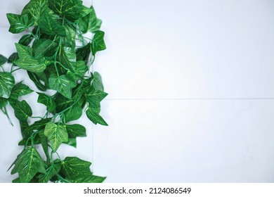 A Studio Photo Of Kitchen Bench Top