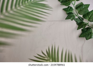 A Studio Photo Of Kitchen Bench Top