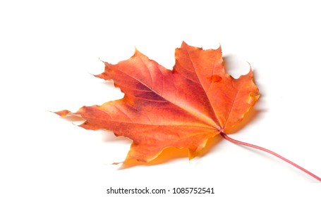 453,133 Autumn photo Images, Stock Photos & Vectors | Shutterstock