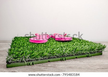 A studio photo of pink flip flops