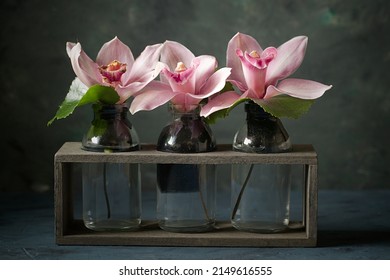 A studio photo of pink orchids in small glass bottles.