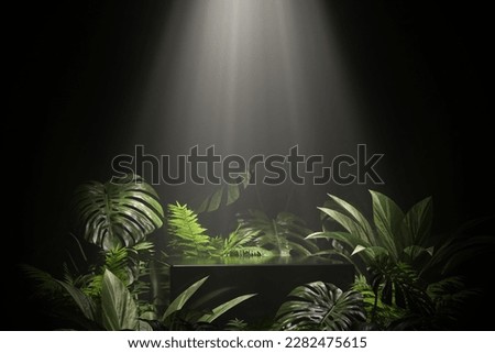Studio podium backdrop for product display, Blank showcase mockup with natural elements, Cosmetics or beauty product promotion mockup, Pedestal with plants, Cinematic lighting