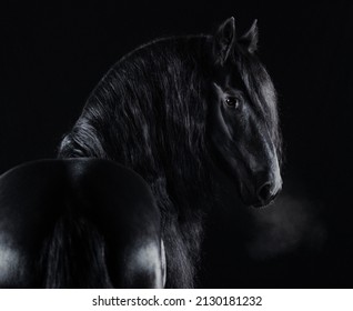 Portrait Spanish Running Horse Black White Stock Photo 760999816 ...