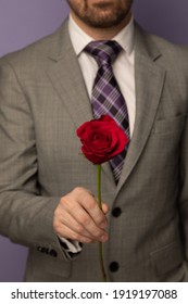 Studio Portrait Of Caucasian Man Holding A Single Red Rose While Wearing A Grey Suit. He Is Wearing A Purple Tie And The Background Is Purple.