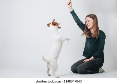 Studio Portrait Of Young Woman Playing With Her Jack Russell Terrier Dog Isolated On White Background. Owner And Dog Having Fun. Dog Jumping And Standing On Two Legs. Dog Training.