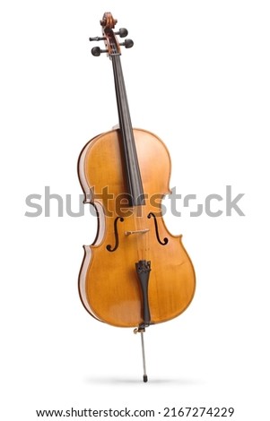 Studio shot of a contrabass isolated on white background