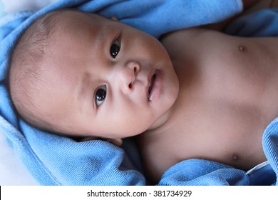 Studio shot of cute Asian baby boy 2 to 3 month old  looking at the camera  soft focus