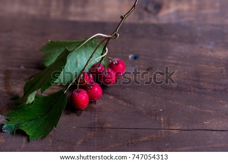 Studio shot hawthorn berries on wooden background
