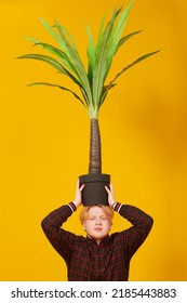 Studio Shot Of A Plump Red-haired Guy Standing At Studio With A Green Room Plant On His Head. Bright Yellow Background. Young People, Lifestyle. Environment.