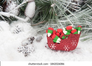 Studio Shot Setting Of A Christmas Sleigh Filled With Colorful Holiday Candy Corn Set In A Snowy, Pine Tree Background.