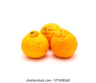 Studio Shot Three Large Ripe, Easy To Peel Sumo Oranges Isolated On White. A Cross Between Mandarin And California Navel Orange, Developed In Japan And Now Grown On Family Farms In San Joaquin Valley.