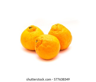 Studio Shot Three Large Ripe, Easy To Peel Sumo Oranges Isolated On White. A Cross Between Mandarin And California Navel Orange, Developed In Japan And Now Grown On Family Farms In San Joaquin Valley.