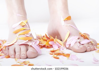 studio shot of womans feet at a beauty salon after pedicure.