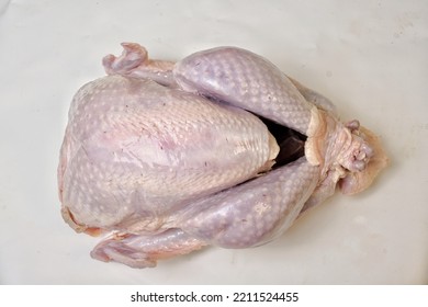 Studio Shotbfrom Above Of Whole Turkey Isolated On White. 