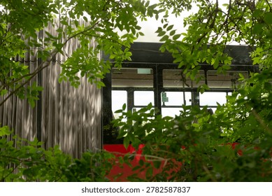 Studio window glimpsed through leafy canopy, painters studio hinted behind reflective glass with red accent, calm overcast light ideal for creative work, green
