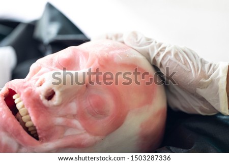 Study anatomy Human and Histological sample of Human model in the laboratory.
