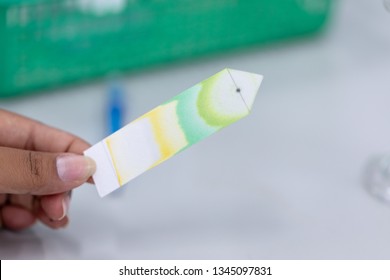 Study of Chromatography is used to separate components of a plant. 