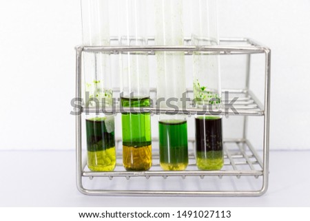 Study of Chromatography is used to separate components of a plant.