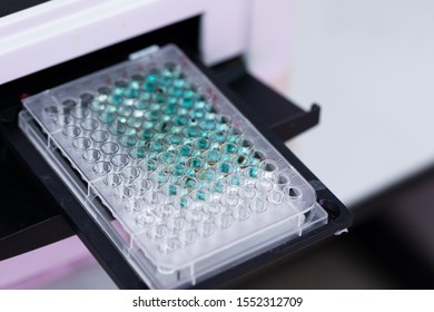 Study of fish blood composition with 96 wells microplate for laboratory testing.