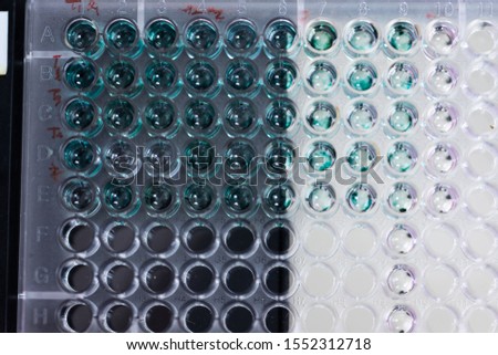 Study of fish blood composition with 96 wells microplate for laboratory testing.