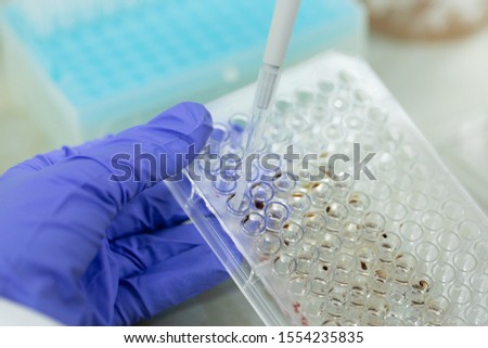 Study of fish blood composition with 96 wells microplate for laboratory testing.