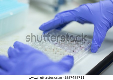Study of fish blood composition with 96 wells microplate for laboratory testing.