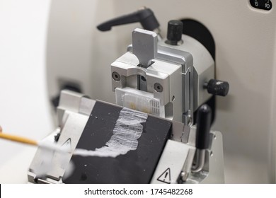 Study Histological sample and preparing a biopsy by use Microtome in Lab.